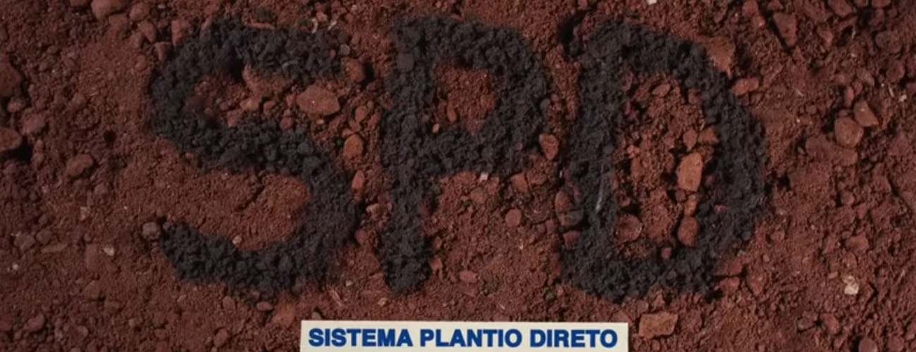 Saiba mais sobre Plantio Direto: