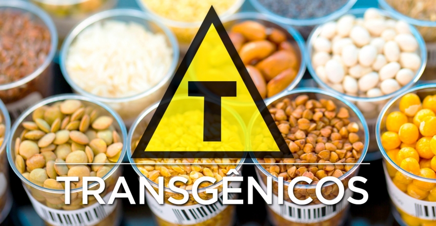 Transgenia